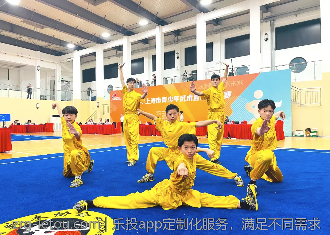 乐投app定制化服务，满足不同需求
