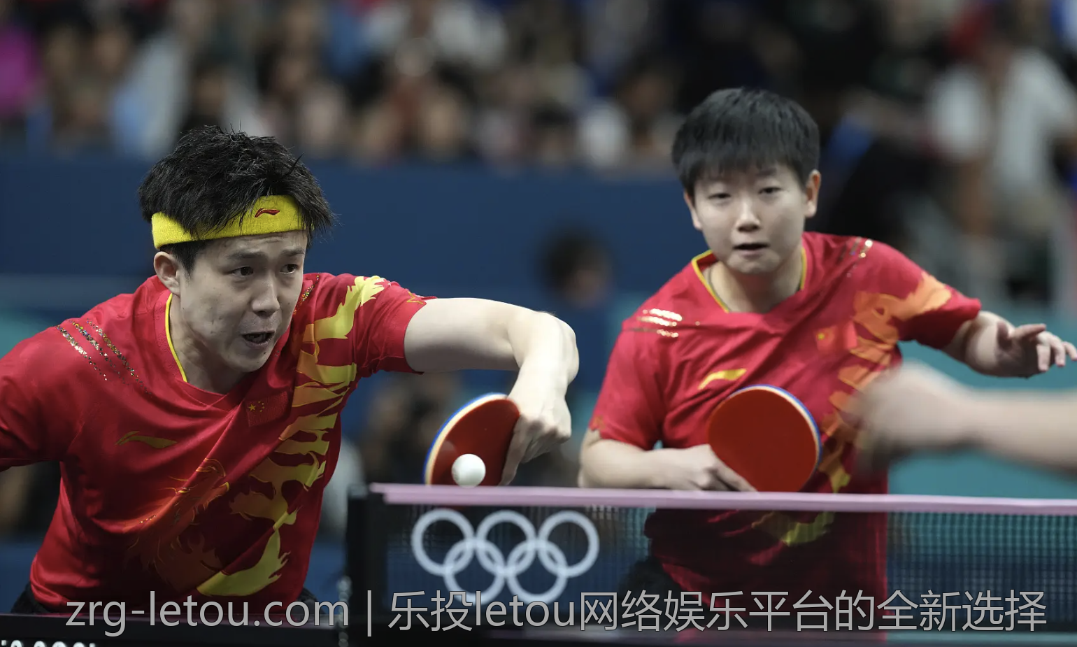 乐投letou网络娱乐平台的全新选择